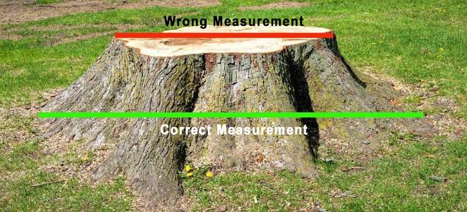 Stump grinding measurement